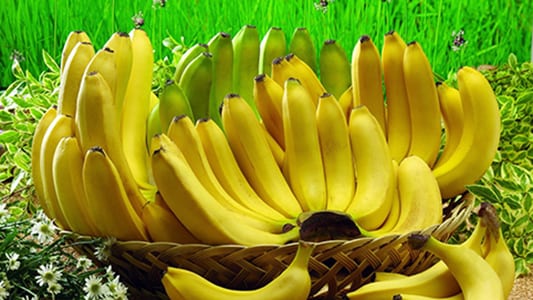 banana-banana-1